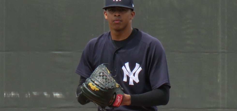 Luis Medina Yankees